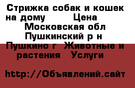 Стрижка собак и кошек на дому      › Цена ­ 1 000 - Московская обл., Пушкинский р-н, Пушкино г. Животные и растения » Услуги   